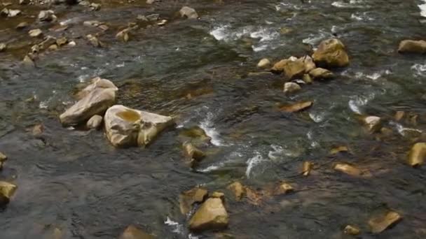 澄んだ水の川の背景 純粋な新鮮な透明な山の川の水の石を閉じます 上からの眺め 自然流流浅い川 — ストック動画