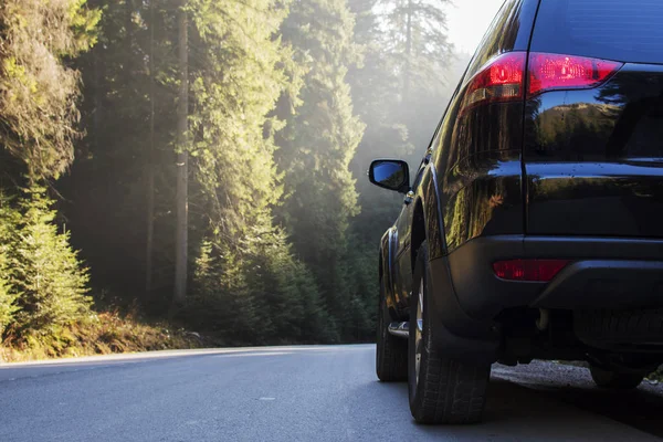 Auto řízení lesní cesty a sluneční paprsky — Stock fotografie