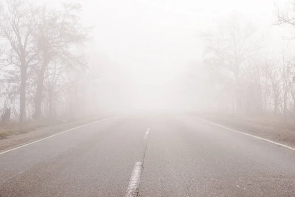 Hazardous driving conditions as you can only see a few feet of the road and the way ahead is obscured by the fog. — Stock Photo, Image