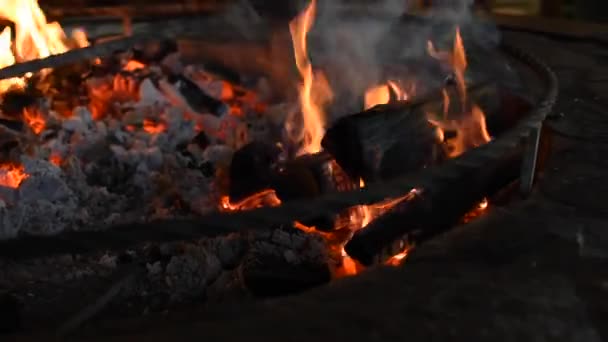 暖炉の中で薪燃焼の焦点 暖炉の薪の周りで遊ぶ火 — ストック動画