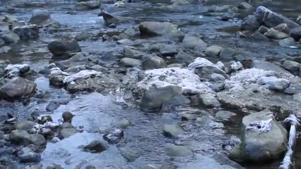 Поток Воды Маленькой Реки Между Камнями — стоковое видео