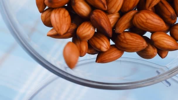 Almonds Pouring Blender Slow Motion Video — Stock Video