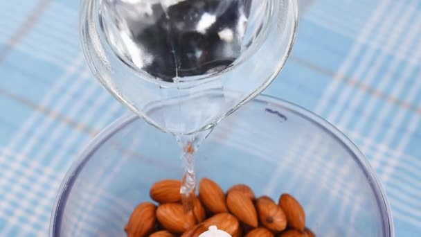 Les Amandes Trempées Dans Bol Mélangeur Sont Versées Avec Eau — Video