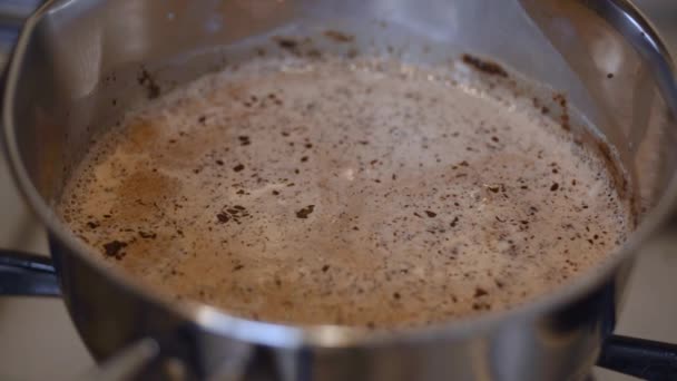 Puderzucker Mit Einem Löffel Erhitzte Milch Mit Schokoladenstücken Streuen — Stockvideo