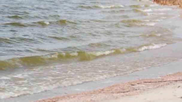 Μικρά Κύματα Χτυπούν Στην Αμμώδη Ακτή Του Θεριβερ — Αρχείο Βίντεο