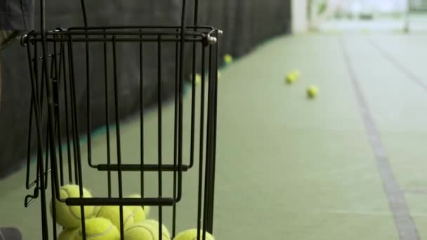 Bir sporcu tenis topu toplar. — Stok video
