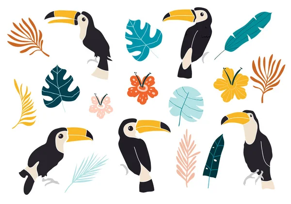 Vektor uppsättning toucan fåglar på tropiska grenar med blad och blommor. Vektoruppsättning tropiska blad. Palm, monstera, bananblad, hibiskus, plumeriablommon. — Stock vektor