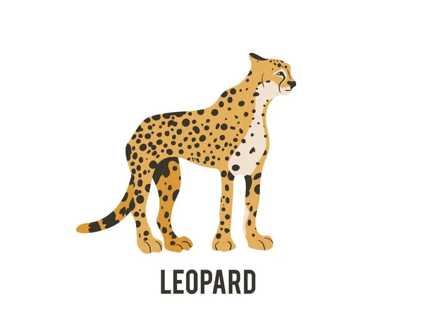El leopardo. Vector animal aislado . — Vector de stock