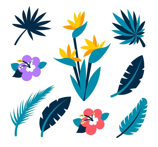 Kolekcja wektorowa liści tropikalnych i kwiatów. Kolekcja tropikalna na plażę, letnie wakacje, hawajski design party. Elementy izolowane wektora na białym tle. — Wektor stockowy
