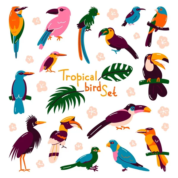 Set de exóticas y brillantes aves tropicales. Guacamayo, cacatúa, flamenco, tucán, etc. . — Vector de stock