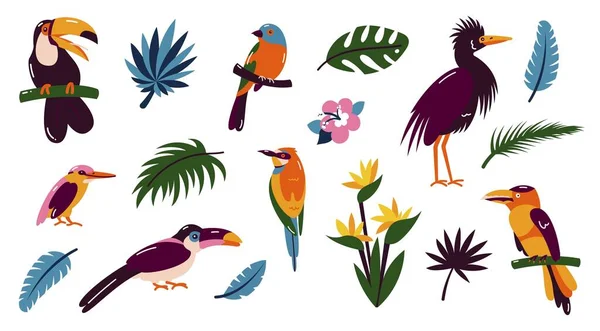 Conjunto de pájaros. Brillantes aves tropicales exóticas. Guacamayo, cacatúa, flamenco, tucán. Vector . — Vector de stock