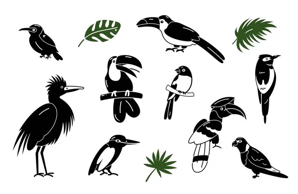 Bir grup kuş. Parlak egzotik tropikal kuşlar. Macaw, Kakadu, Tukan, vs. Vektör.