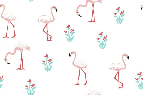 Pembe flamingo ve karpuzlu vektör izi