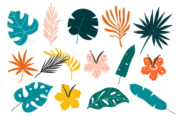 Conjunto vectorial de hojas tropicales. — Vector de stock