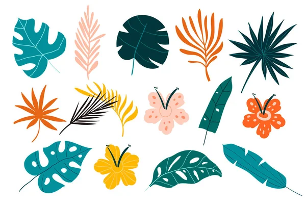 Vector set of tropical leaves. Vector Graphics