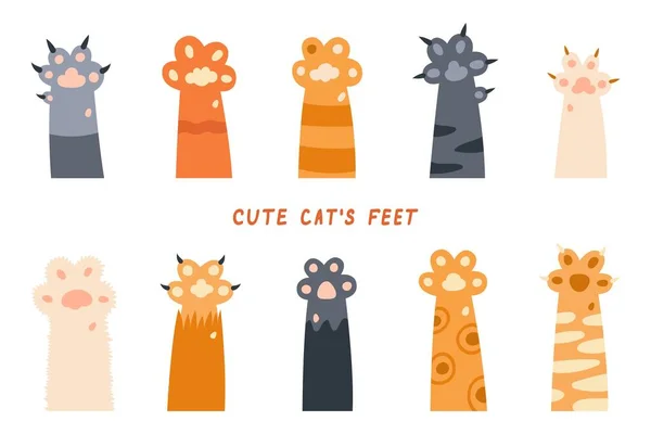 kedi patileri - bacaklar, köpek patisi, kedi arka planı, kedi yavrusu düz tasarımı, baskılar, çizgi film.