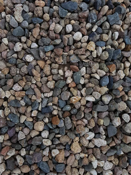 沿海多彩色鹅卵石的照片 — 图库照片