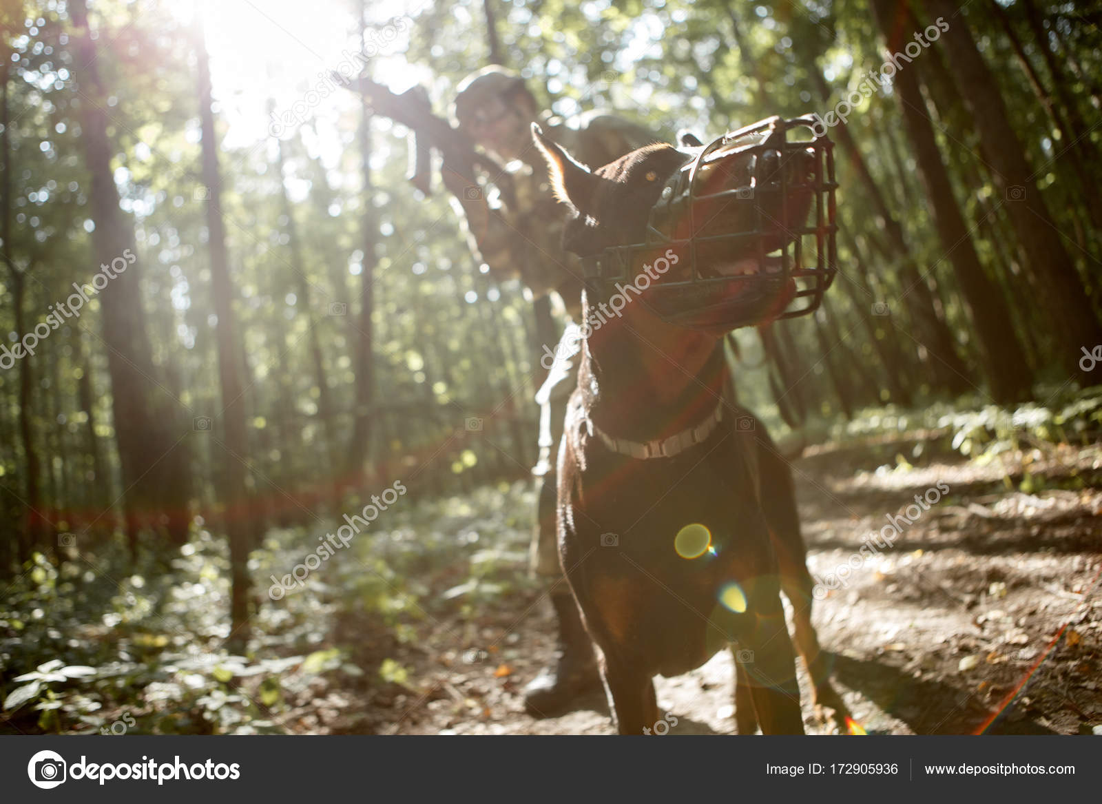 Photo of airsoft player with dog and submachine gun Stock Photo by ©2s