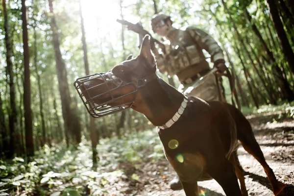 Köpek ile askeri adam fotoğrafı
