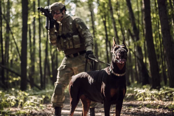 Image of military man with dog — Stock Photo, Image