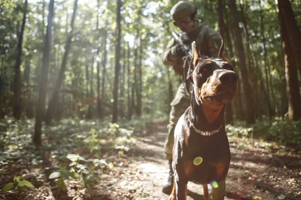 Uomo militare in casco con pistola e cane — Foto Stock