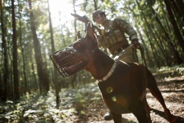 Airsoft oyuncu ile köpek ve hafif makineli tüfek resmi