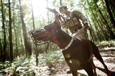Köpek ile askeri adam fotoğrafı