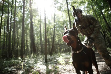 Airsoft oyuncu ile köpek resmi