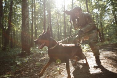 Kask ve hafif makineli tüfek ve köpek ile askerin imajını
