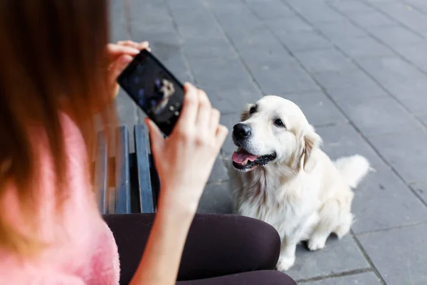 Image of woman on bench photographing dog — Stock Photo, Image