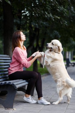 Köpek pençe, bankta oturan bir kadın görüntüsü