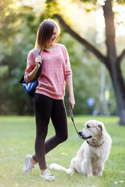 夏の公園で犬と散歩の若い女性の画像 — ストック写真