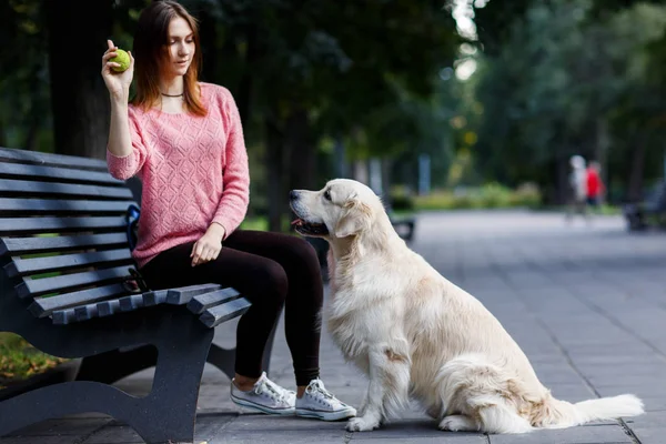Kadın köpek banktaoturuyor topu ile görüntü