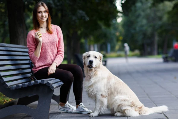 Foto van vrouw met bal zittend op de Bank, hond — Stockfoto