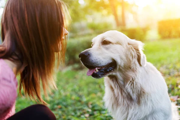 Kadın ile köpek Lawn yolda resim