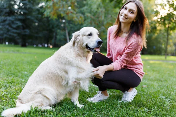Image of woman with dog giving paw on lawn in summer park