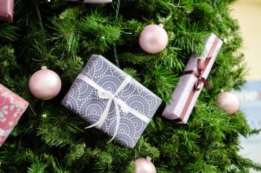 Ladin, mor kutuları ile Noel arka plan görüntü