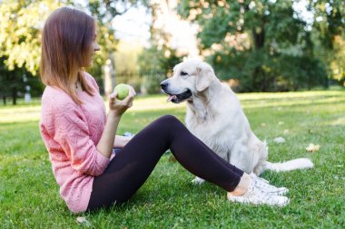 Görüntü topu ve köpek Çimenlikte oturan esmer