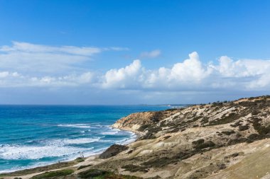 Deniz, bulutlu gökyüzü ve eğim bitki örtüsü ile resmi