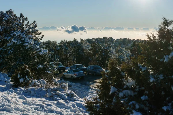 Foto van besneeuwde berghelling, bomen, bewolkte hemel — Stockfoto