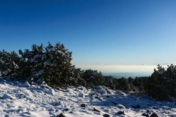 Foto van besneeuwde bergen, bomen, blauwe lucht — Stockfoto