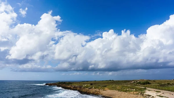 Photo of sea, cloudy sky, coastal zone with vegetation — Stock Photo, Image