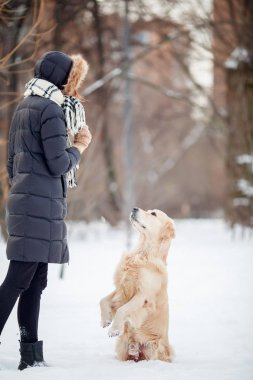 Görüntü siyah ceket eğitim köpek karlı Park içinde genç kadın