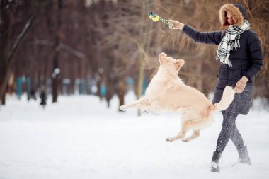 Labrador karlı Park ile oynayan kadın fotoğrafı