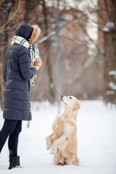 Изображение молодой женщины в черной куртке тренирующейся собаки в снежном парке — стоковое фото
