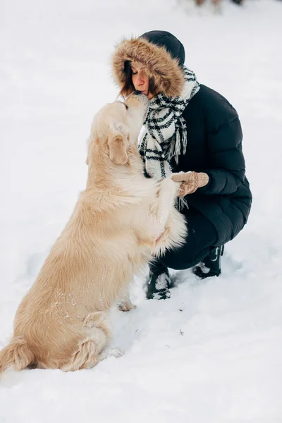 Лабрадор дает лапу девушке в зимнем парке во второй половине дня — стоковое фото