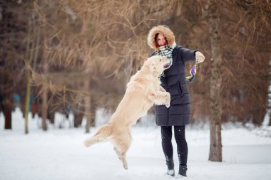 Labrador karlı Park ile oynayan kadın görüntüsünü