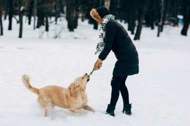 Labrador kış Park ile oynayan kadın resim