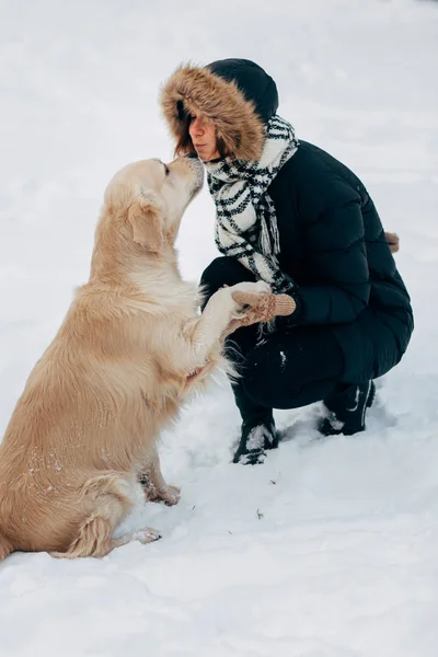 Picture of labrador giving paw to girl in black jacket on winter day — Stock Photo, Image