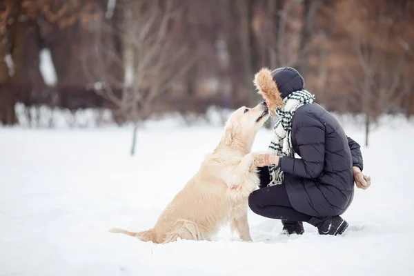 Image de fille en veste noire avec labrador au parc enneigé — Photo